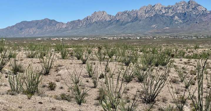 State, BLM move forward on national monument land swap