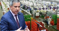 Ley Chlimper 2.0: MEF respalda beneficios a agroexportadoras