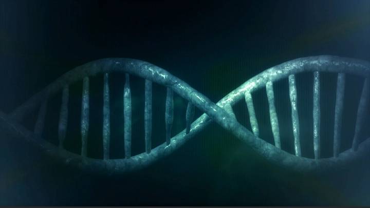 Descubren el mecanismo sorprendente que creó las proteínas que generaron el origen de la vida