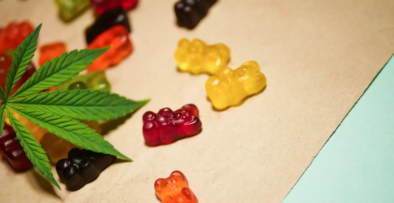 Hemp Hemp Hooray! Texas THC Experts Call Abbott's Executive Order a Win.