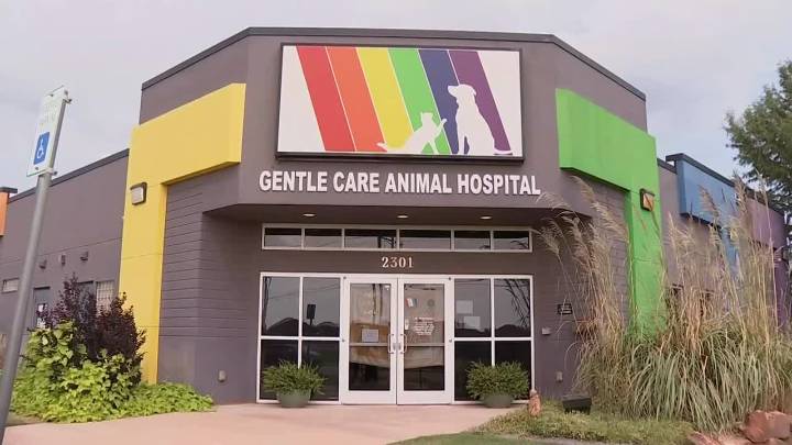 Edmond animal hospital rebrands after controversy involving former veterinarian