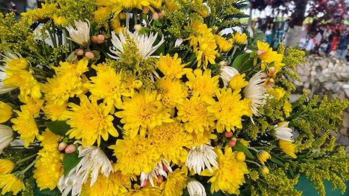 Flor amarilla movió ventas en expoferia