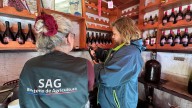Histórica viña copiapina recibe fiscalización en vísperas de Fiestas Patrias