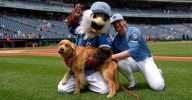 Mets close out home schedule with three against Nationals