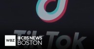 How TikTok transformed one woman's business overnight