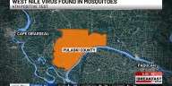West Nile Virus found in mosquitoes