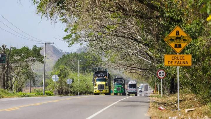 MinTransporte ajusta disposiciones sobre horas logísticas en el SICE-TAC: invita al sector de transporte de carga a informarse sobre los lineamientos