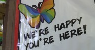 Pop-up pride event to be held after postponement of NEW Pride Alive festival