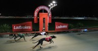 Dapto Dogs: Historic greyhound track set for one final race night
