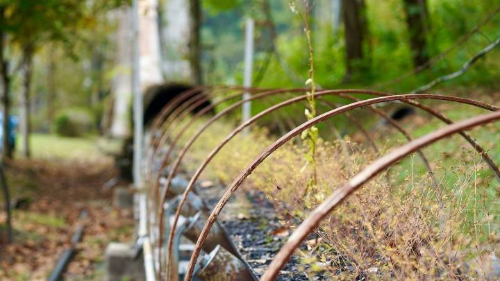Could coal make a comeback in Kentucky?