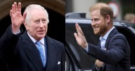 Tras 19 meses de distancia, el Príncipe Harry se reunió con el rey Carlos III