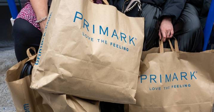 Primark's 'roomy' £14 bag looks 'just like' £370 designer tote