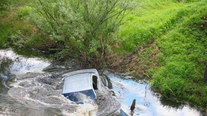 Woman's Car Rolls Into Lake As She Protests ICE Arrest
