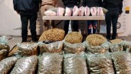 Policías de Toluca decomisan 200 kg de marihuana; hay dos detenidos