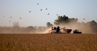 Retenciones: una medida de impacto limitado en la Patagonia