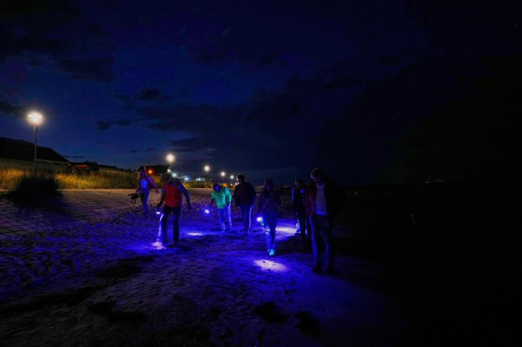Finding happiness in amber: On Germany’s Baltic coast, people go hunting for the precious pieces
