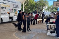 Quirófano veterinario móvil del municipio visitará Cañada Honda y EL Duraznillo