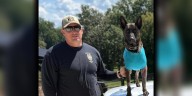 K-9 recovering after being stabbed multiple times in York County