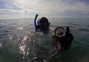 Recolectan más de 2.5 toneladas de residuos en el fondo marino de Playa del Carmen