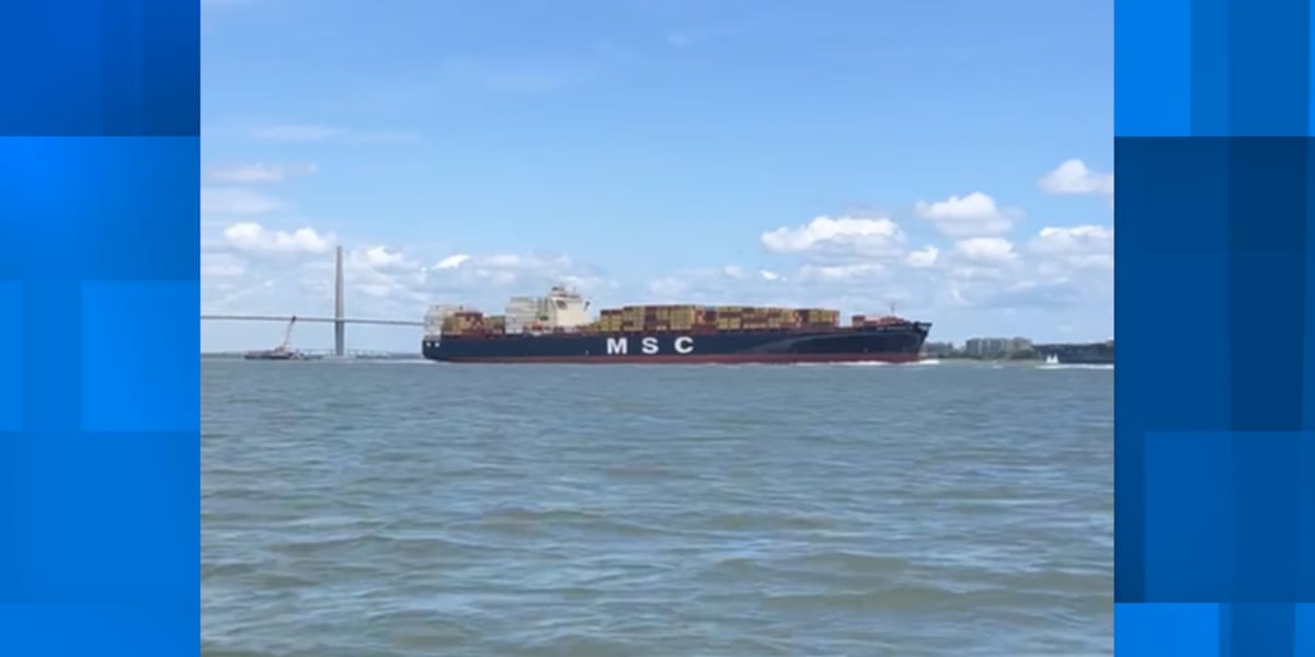 Engineer takes plea agreement in container ship incident near Ravenel Bridge