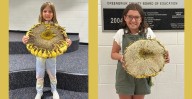 Lewisburg House and Garden Club Announces Largest Sunflower Contest Winners and New Grand Prize!
