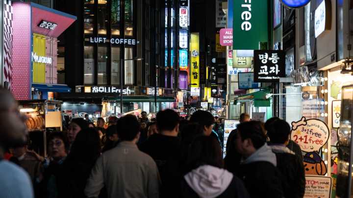 Google Maps is ubiquitous in most countries but South Korea is split on the idea