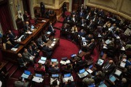 Sesión bisagra en el Senado. La oposición se encamina a sostener la ley de discapacidad y limitar los DNU