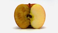 Cómo evitar que las manzanas se oxiden una vez cortadas: el poderoso truco