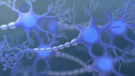 Mejora el diagnóstico precoz de la esclerosis múltiple, un avance clave para frenar la enfermedad