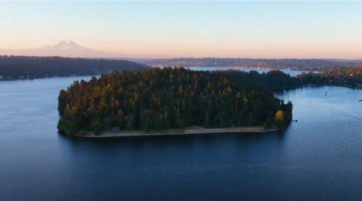 Visit “The Magnificent Forest” near downtown Seattle