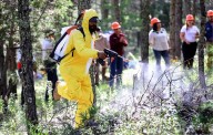 Brigadistas de Arteaga reciben apoyo con equipo especializado para combatir incendios forestales