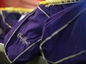 Crown Royal closure angers Doug Ford