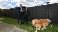 Anthony Albanese dodges power bill price drop guarantee