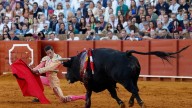 Trofeos, cogidas, toreo, valor y el reposo de Aguado... relato inconcluso en Sevilla