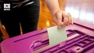 Minister slams 'extremist' candidates nominating for WA council elections