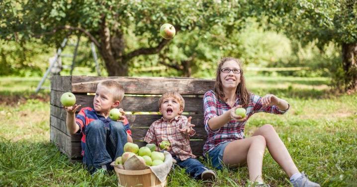 Apple season is underway in Rutland County