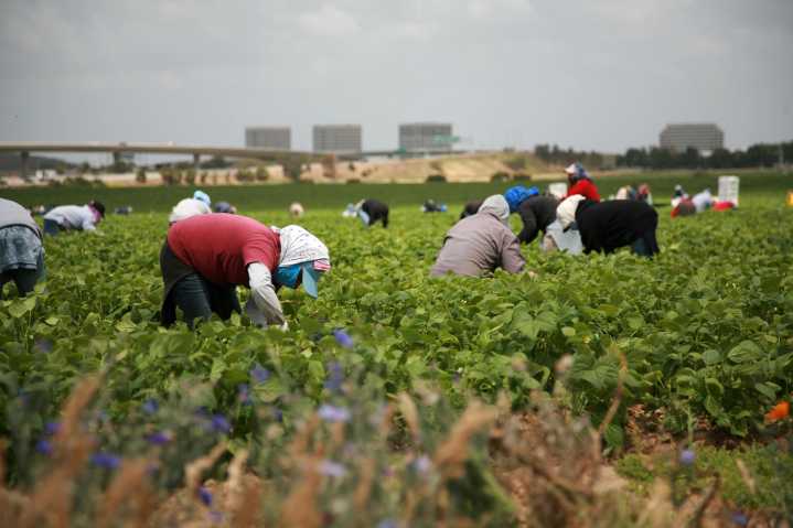 Anuncian 'regla final' para agilizar trámites de trabajadores H