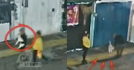 Graban a parejita robándose a una perrita en Tecámac; así los cacharon