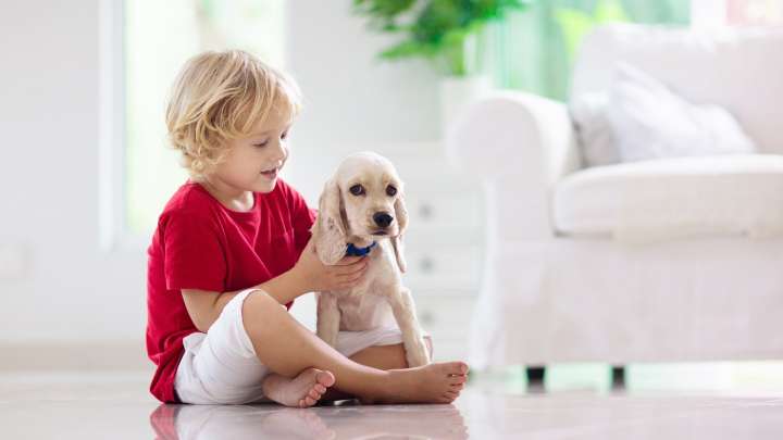 Soy veterinario y éstas son las mejores mascotas que puede tener un niño de 3 años
