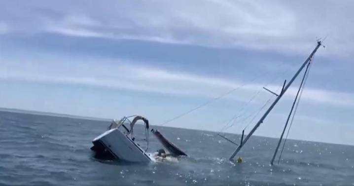 Dos embarcaciones atacadas por orcas frente a Lisboa: un yate se hunde y otro queda a la deriva