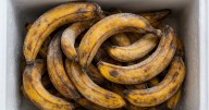Beneficios de congelar la cáscara de banana: por qué hacerlo y para qué sirve