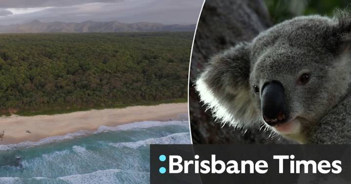 Inside the Great Koala National Park