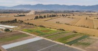 Nación desafectó tierras del INTA Cerrillos con destino habitacional