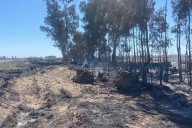 “Estamos buscando al pirómano”. Sospechan que fueron intencionales cuatro incendios en zonas rurales