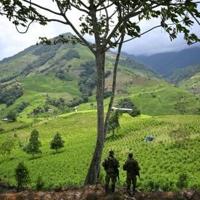 US decertifies Colombia as ally in drugs fight