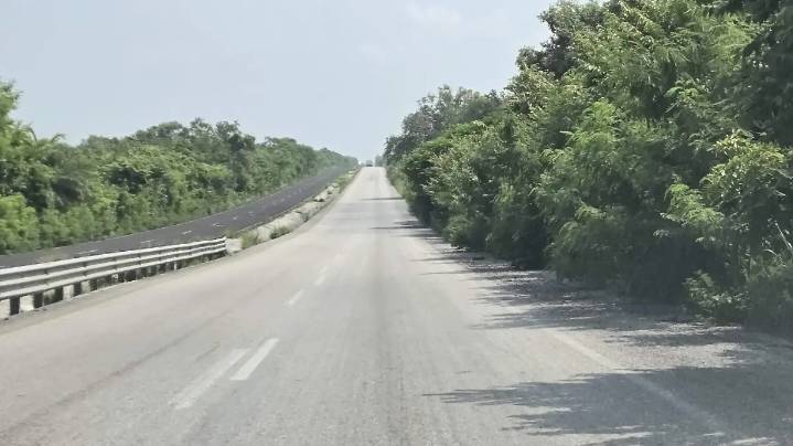 Carretera Pueblo Viejo-Ozuluama: en riesgo por baches, maleza y deslaves