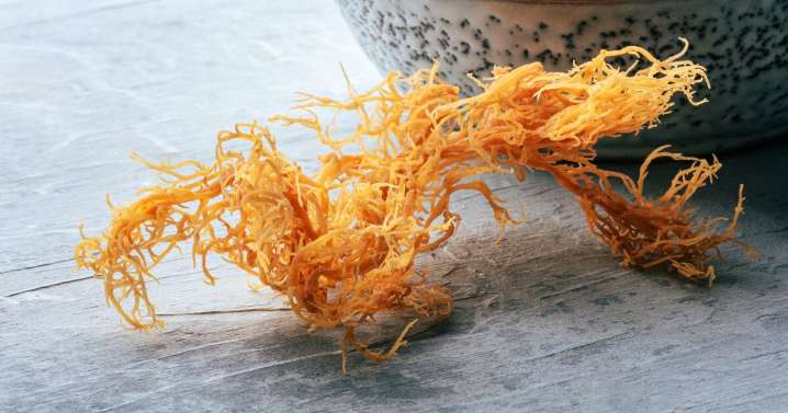 Beauty and health gurus love it. Do claims about sea moss sink or swim?