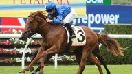 Golden Rose a tempting target for Maher as top trainer bids to break historical barrier