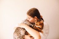 Tu gato también puede tener demencia: a estos síntomas debes prestar atención
