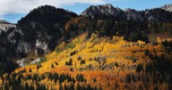 Fall equinox: What is it?